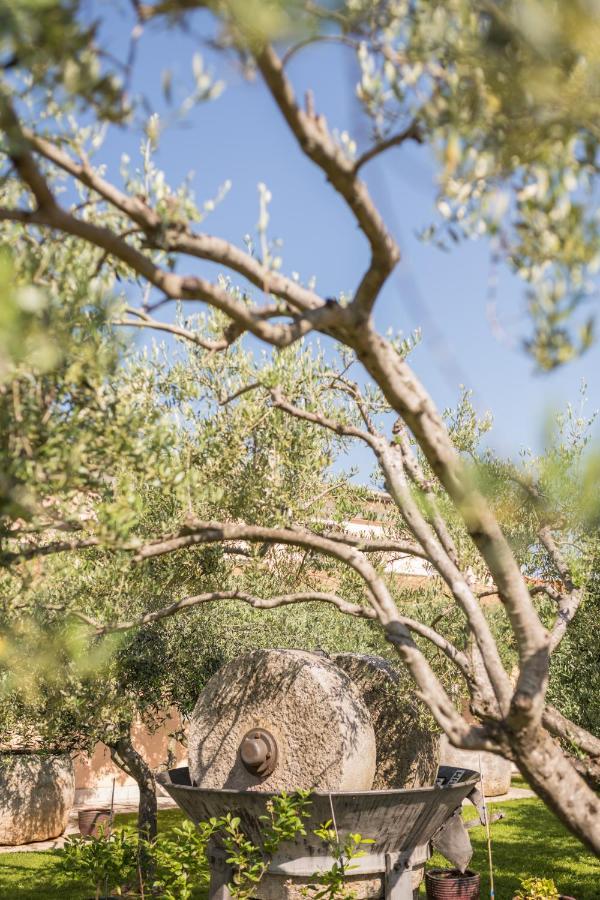 Bb Olive Bed & Breakfast Seget  Exterior foto